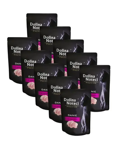 DOLINA NOTECI Premium hrană pisici, curcan 10x85 g