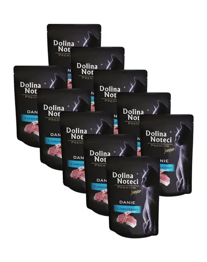 DOLINA NOTECI Premium Junior hrană pisici junior 10x85 g cu miel