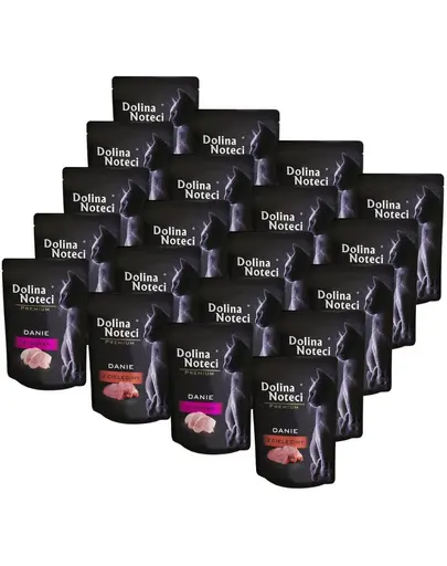 DOLINA NOTECI Premium Mix plicuri pisici 20x85 g vițel și curcan