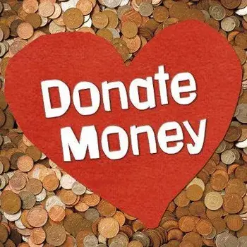 Donate Money, Paperback/Emily Raij