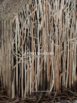 Doris Salcedo, Hardback/***