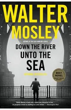 Down the River Unto the Sea - Walter Mosley