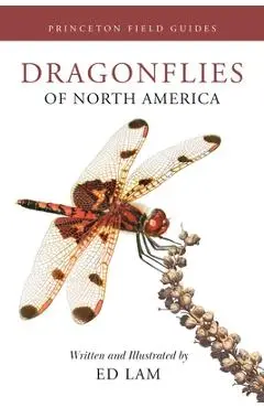 Dragonflies of North America - Ed Lam