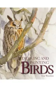 Drawing and Painting Birds - Tim Wootton