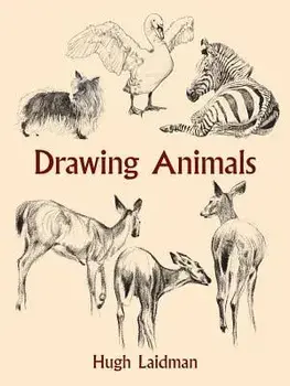 Drawing Animals, Paperback/Hugh Laidman