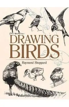 Drawing Birds