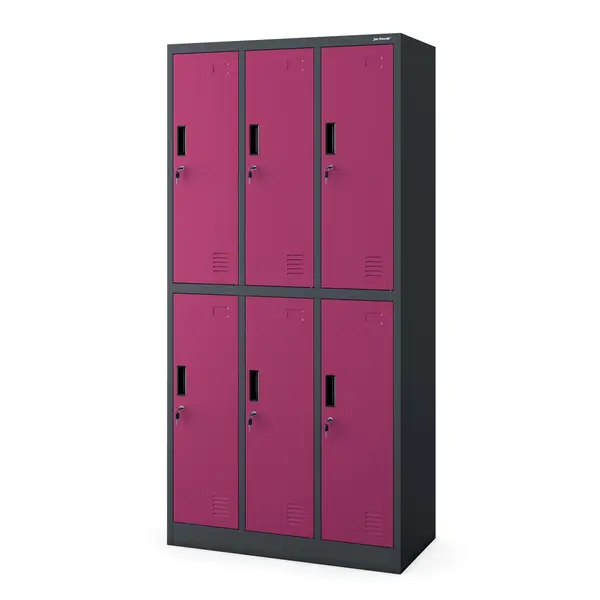 Dulap de haine securizat cu 6 usi IGOR, 900 x 1850 x 450 mm, antracit-fucsia Dulap de haine securizat cu 6 uși IGOR, 900 x 1850 x 450 mm, antracit-fucsia