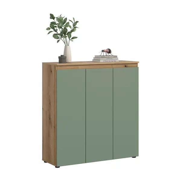 Dulap Pentru Pantofi 105/111/37 cm