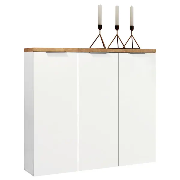 Dulap Pentru Pantofi 120/115/34 cm