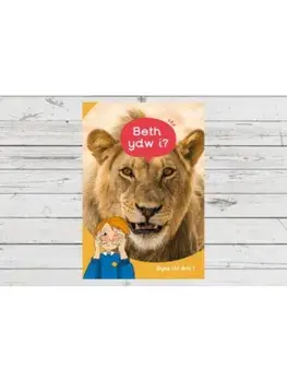 Dyna Chi Dric: Beth Ydw I?, Paperback/Aneirin Karadog