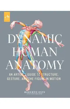 Dynamic Human Anatomy: An Artist's Guide to Structure, Gesture, and the Figure in Motion - Roberto Osti