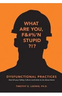 Dysfunctional Practices - Timothy Ludwig