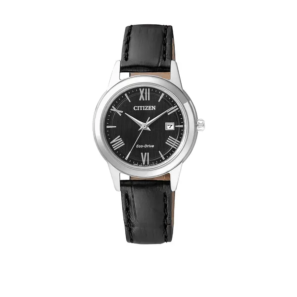 Eco-drive fe1081-08e