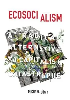 Ecosocialism: A Radical Alternative to Capitalist Catastrophe, Paperback/Michael Lowy