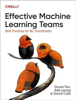 Effective Machine Learning Teams. Best Practices for ML Practitioners, Paperback/David Colls