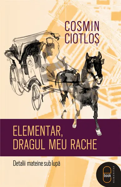 Elementar, dragul meu Rache. Detalii mateine sub lupă (pdf)