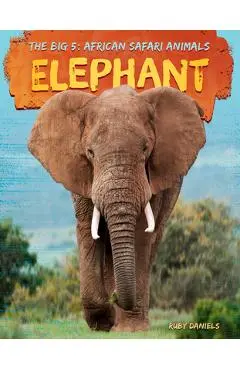 Elephant - Ruby Daniels