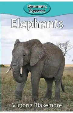 Elephants - Victoria Blakemore