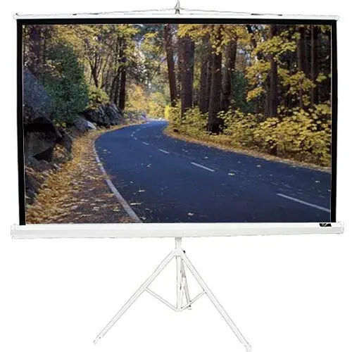 ELITESCREENS Ecran proiectie ELITESCREENS T99NWS1, 99 inch, 1:1, MaxWhite 2