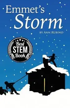 Emmet's Storm, Paperback/Ann Rubino