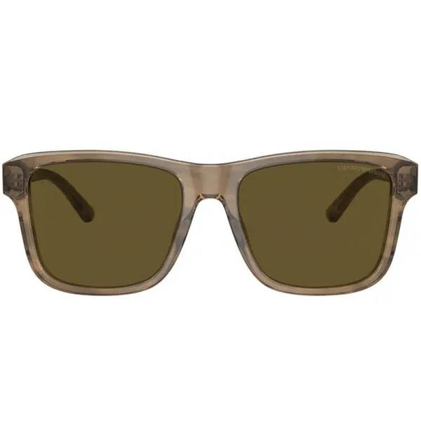 Emporio Armani EA4208 605573 56
