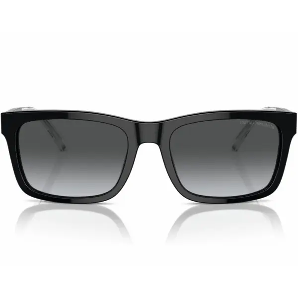 Emporio Armani EA4224 5017/T3 57