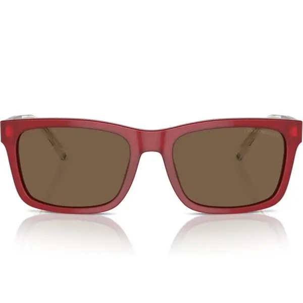 Emporio Armani EA4224 6093/73 57