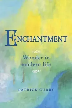 Enchantment. Wonder in Modern Life, Paperback/Patrick Curry