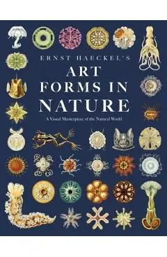 Ernst Haeckel's Art Forms in Nature: A Visual Masterpiece of the Natural World - Adolf Glitsch