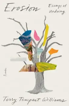 Erosion: Essays of Undoing, Paperback/Terry Tempest Williams