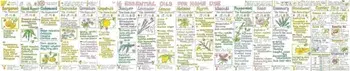 Essential Oils for Home Use/Bee Ballantyne