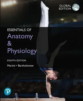 Essentials of Anatomy & Physiology, Global Edition, Paperback/Edwin F. Bartholomew