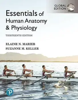 Essentials of Human Anatomy & Physiology [Global Edition], Paperback/Suzanne Keller