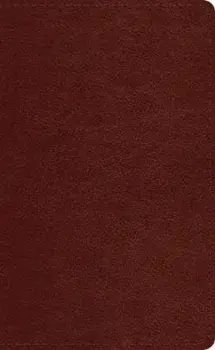 ESV Pocket Bible/***