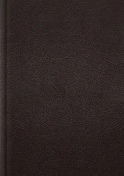 ESV Single Column Journaling Bible, Large Print/***