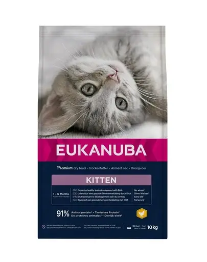 EUKANUBA Cat Kitten All Breeds Healthy Start Chicken & Liver Hrana uscata pentru pisici junior, cu pui si ficat 10 kg
