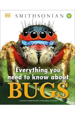 Everything You Need to Know about Bugs - Dk