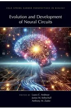 Evolution & Development of Neural Circuits - Laura Andreae