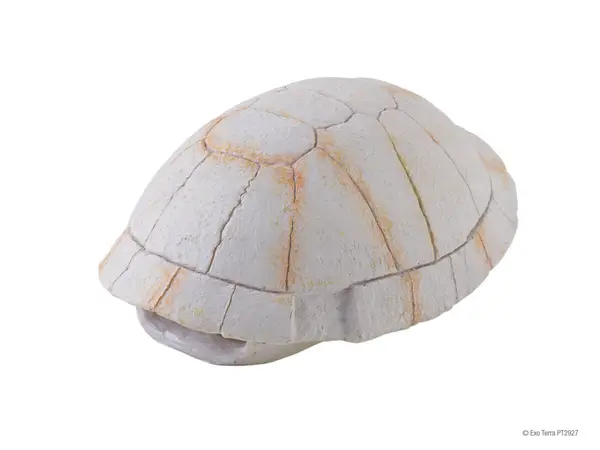 Exo Terra Carcasa Broasca Testoasa Terariu PT2927