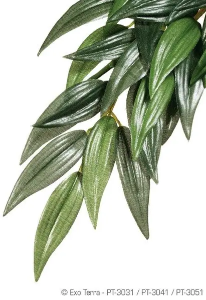 Exo Terra Planta Ruscus Small 35 CM PT3031