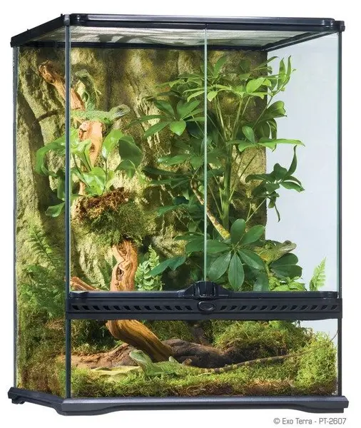 Exo Terra Terariu Sticla 45X45X60 cm PT2607