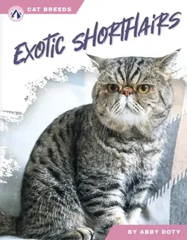 Exotic Shorthairs, Hardback/Abby Doty