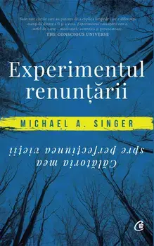 Experimentul renuntarii. Calatoria mea spre perfectiunea vietii/Michael A. Singer