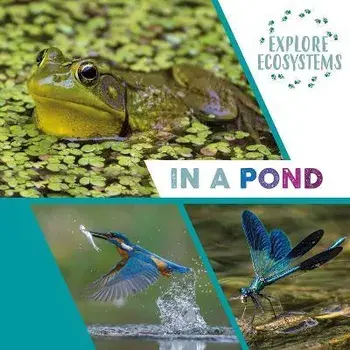 Explore Ecosystems: In a Pond. Illustrated ed, Hardback/Sarah Ridley