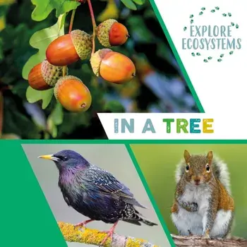 Explore Ecosystems: In a Tree. Illustrated ed, Paperback/Sarah Ridley