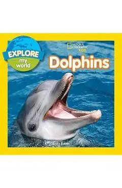 Explore My World Dolphins - Becky Baines