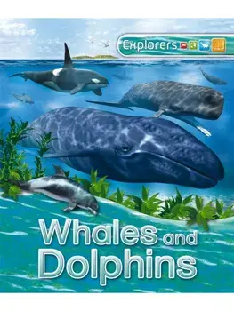 Explorers: Whales and Dolphins, Paperback/Anita Ganeri