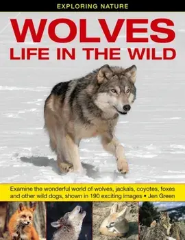 Exploring Nature: Wolves - Life in the Wild, Hardback/Dr Jen Green