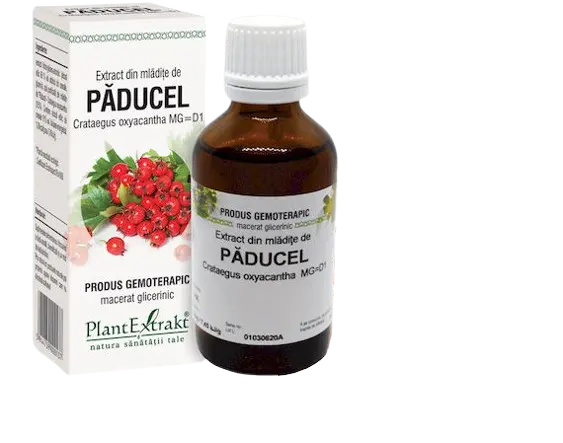 Extract din mladite de paducel, 50ml, PlantExtrakt