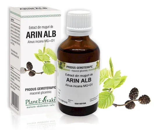 Extract din muguri de Arin Alb, 50ml, PlantExtrakt